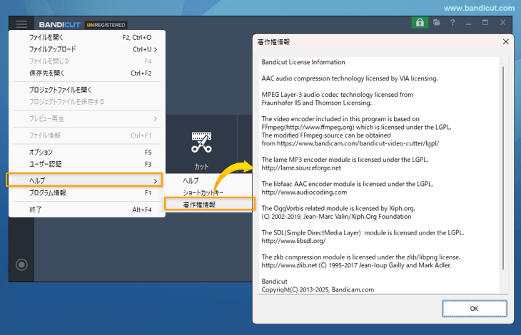 Bandicutの著作権情報