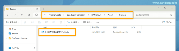 Bandicutのプリセットの保存先