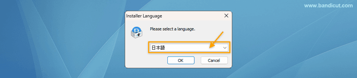 Bandicutを日本語でインストールする