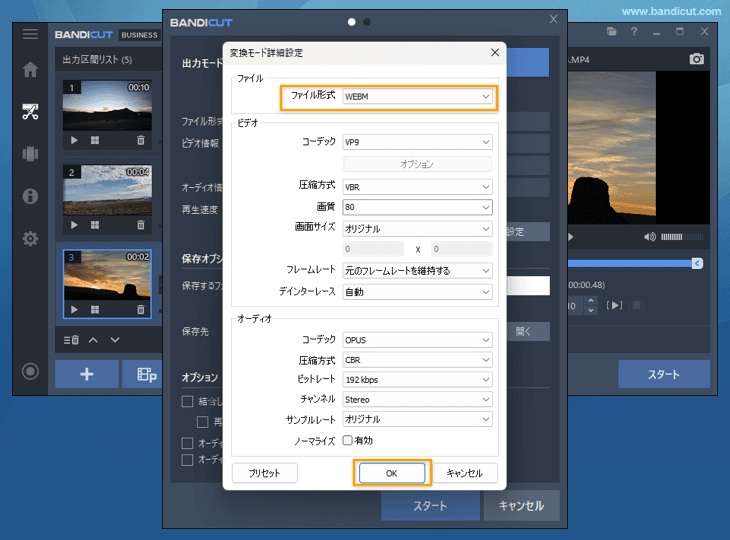 詳細設定画面で変換後の動画ファイルの形式を選択 詳細設定画面で変換後の動画ファイルの形式を選択