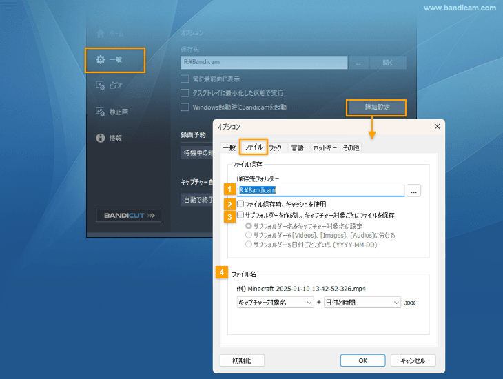 詳細設定：ファイル