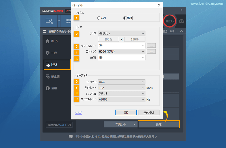 フォーマット設定 > ビデオ