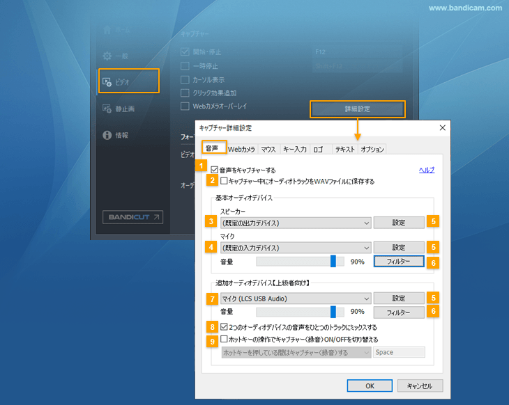 キャプチャー詳細設定 > 音声