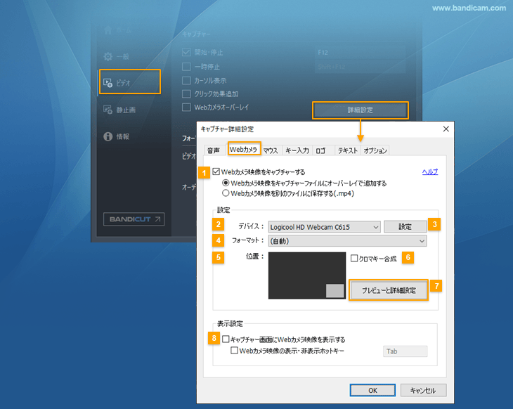 キャプチャー詳細設定 > Webカメラ (PiP機能)