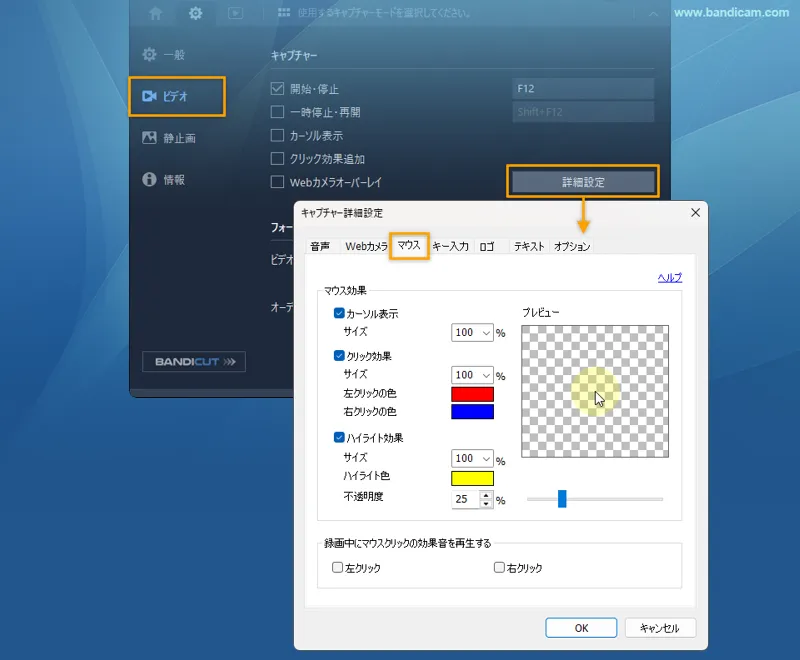 キャプチャー詳細設定 > マウス