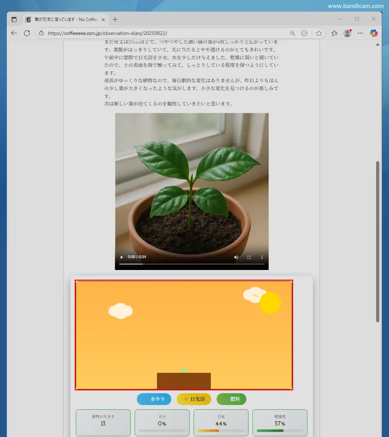 特定のウィンドウの特定の範囲を録画中