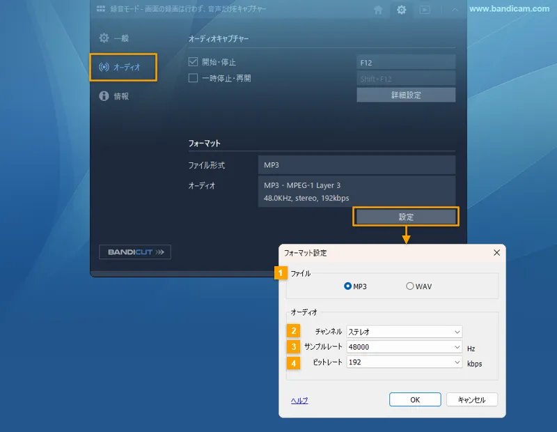 フォーマット設定 > オーディオ