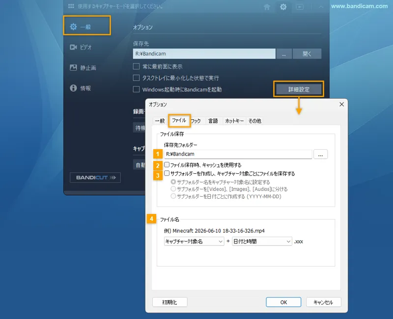 詳細設定：ファイル