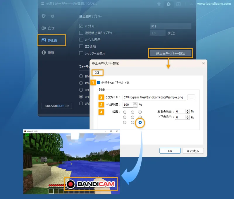 静止画キャプチャー詳細設定 > ロゴ