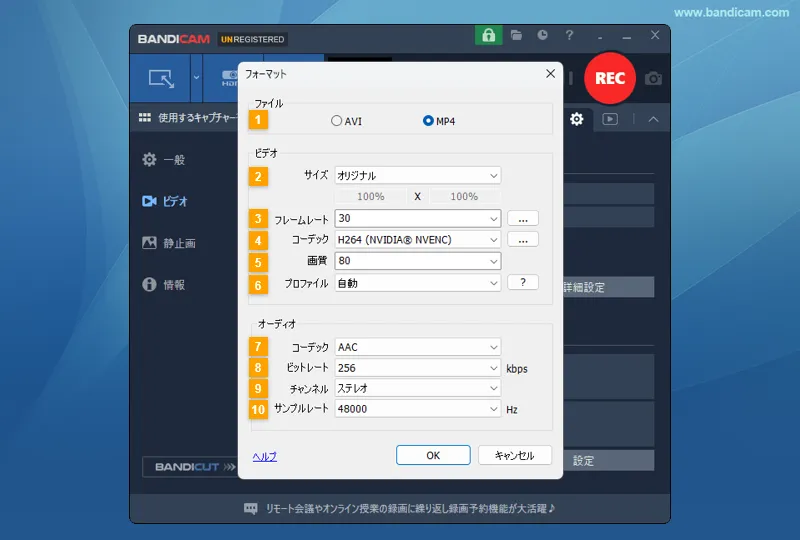 フォーマット設定 > ビデオ