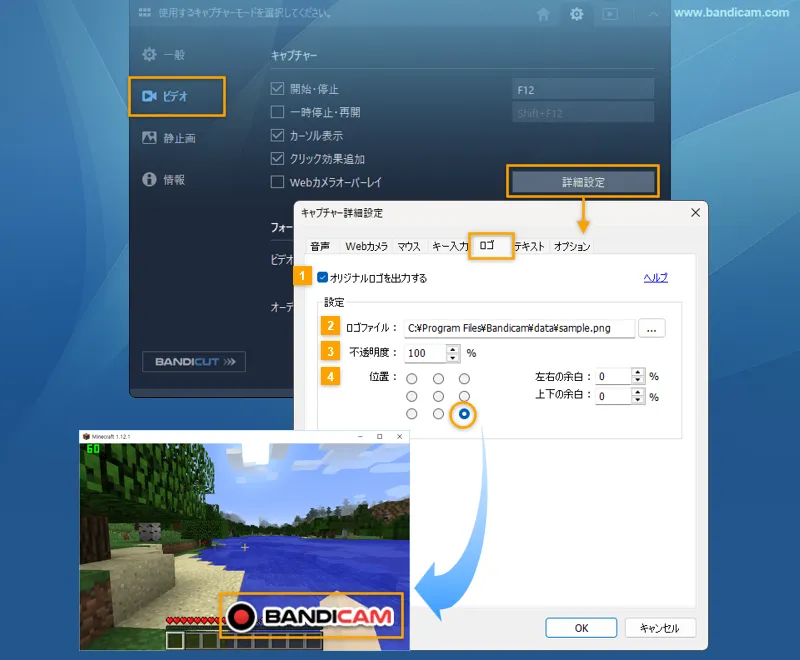 キャプチャー詳細設定 > ロゴ