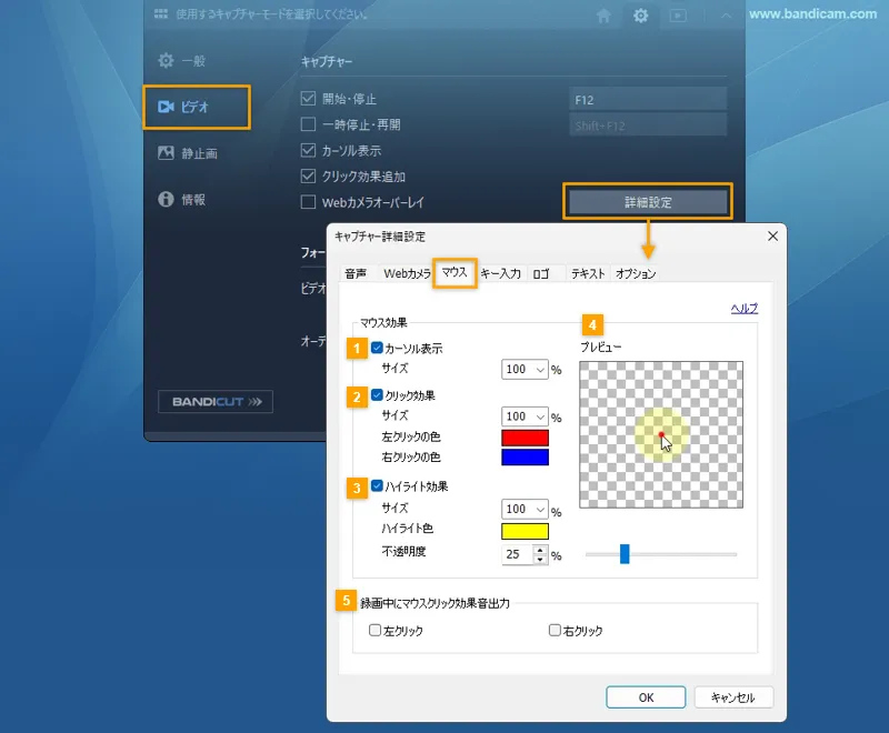 キャプチャー詳細設定 > マウス