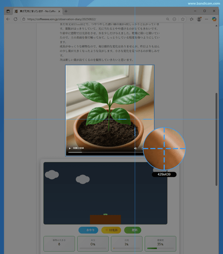 自動で認識された映像のある範囲をワンクリックで確定するか手動で枠内におさめる
