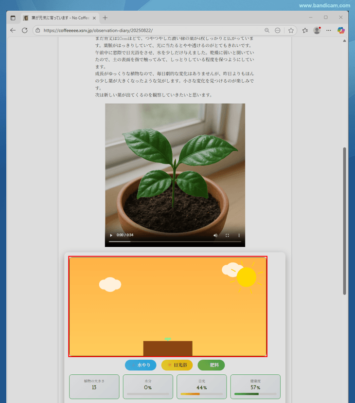 特定のウィンドウの特定の範囲を録画中