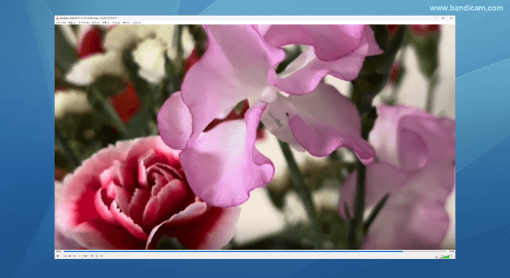 上下が等分にカットされ画面いっぱいに表示される