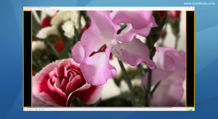 そのままVLCで再生すると左右に黒帯が入る