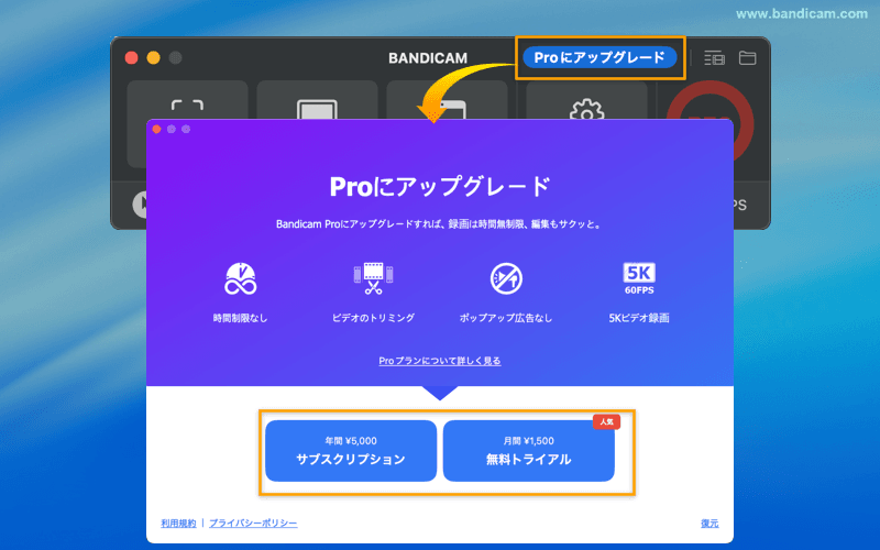 Bandicam for MacでProを入手（アプリ内課金）