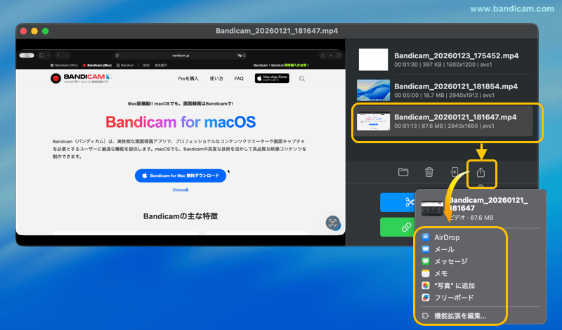 動画の共有オプション
