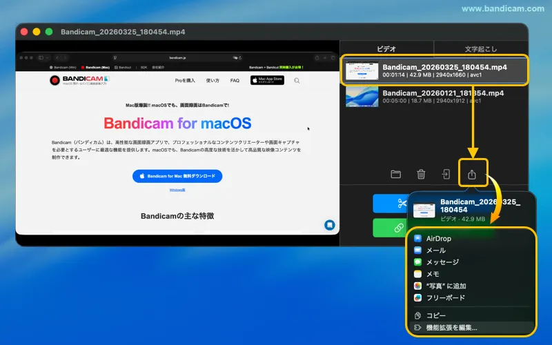 動画の共有オプション
