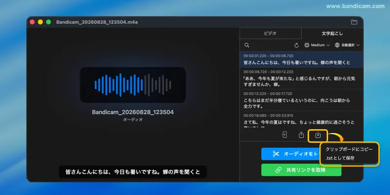 音声の文字起こし結果をコピーまたはテキストファイルとして保存