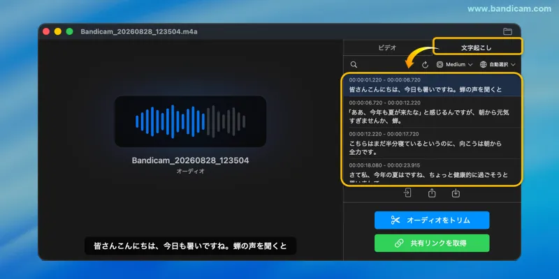 Bandicam for Macで録音した音声を文字起こし