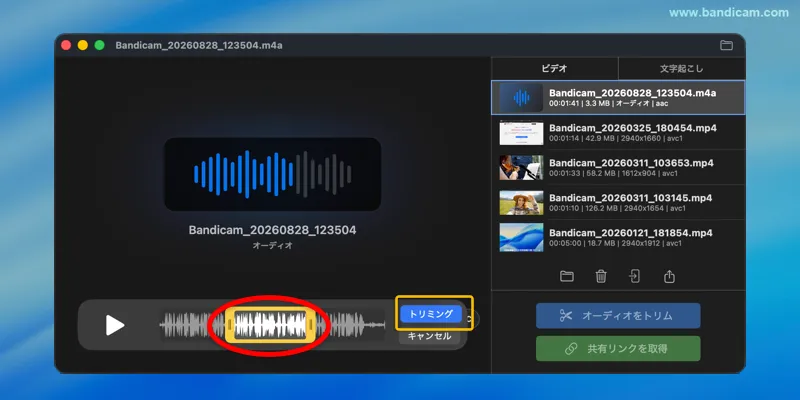 音声ファイルの保存したい範囲を指定