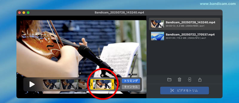 動画の必要シーンだけ保存