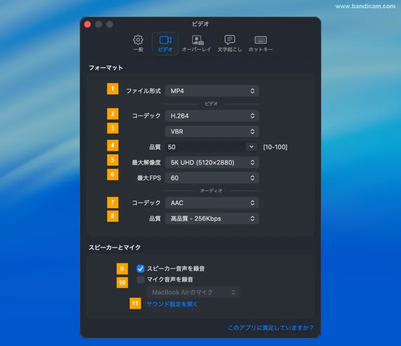 ビデオ設定