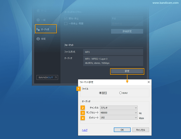 フォーマット設定 > オーディオ