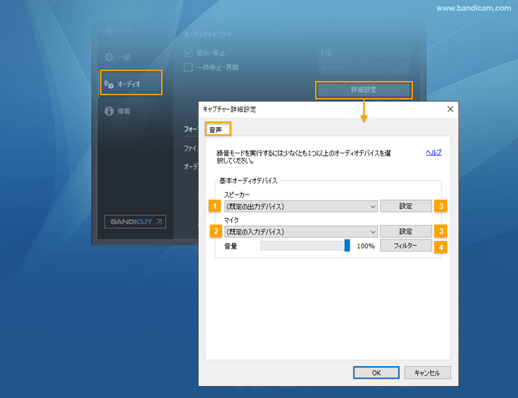 キャプチャー詳細設定 > 音声