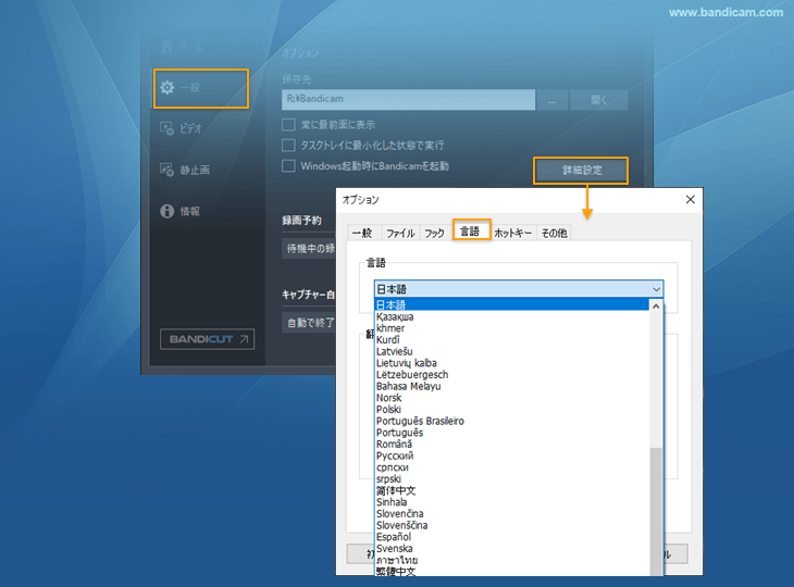 詳細設定：言語