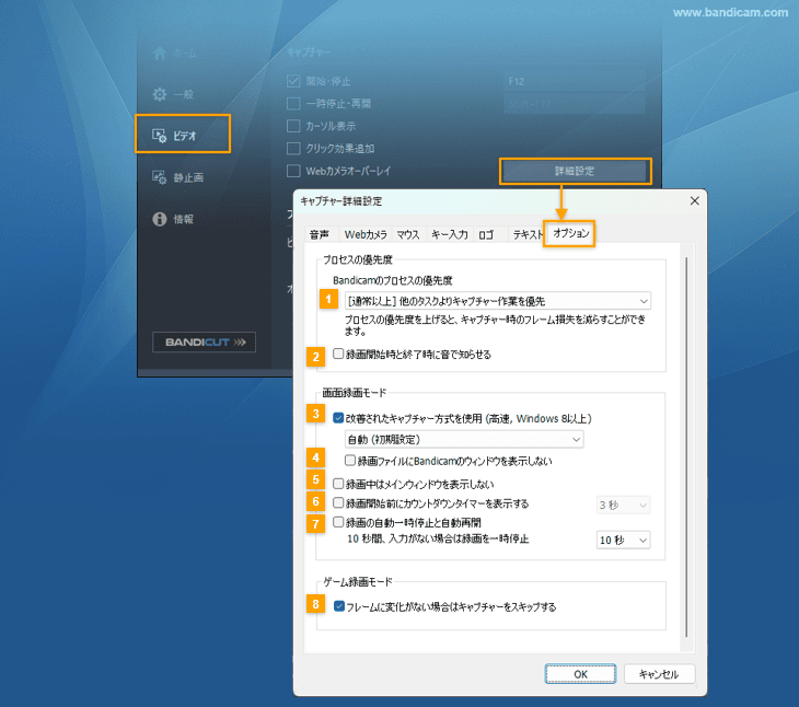 キャプチャー詳細設定 > オプション