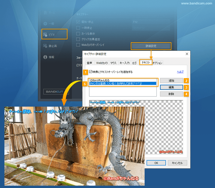 キャプチャー詳細設定 > テキスト