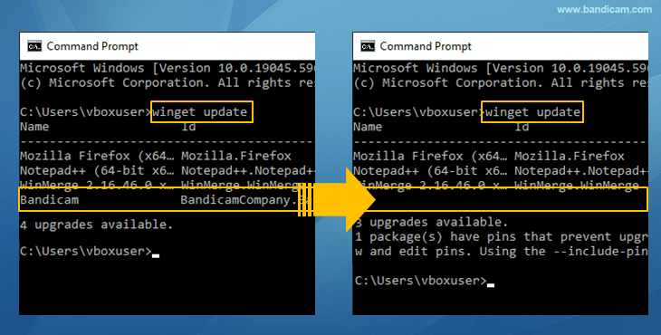 wingetアップデートからBandicamとBandicutを除外