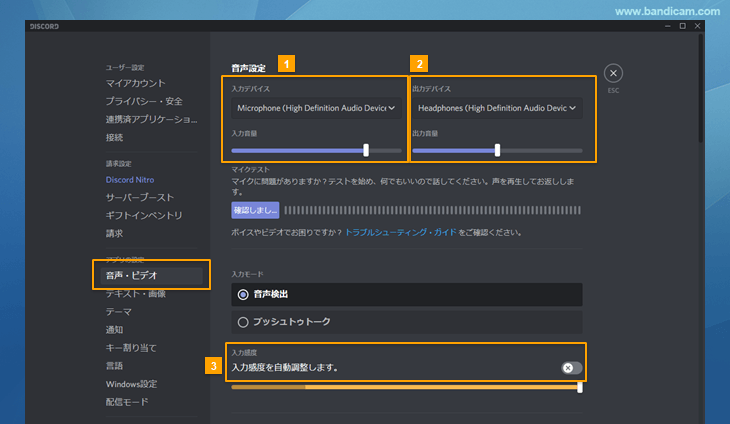 ゲームとdiscordを同時にキャプチャーする方法 Bandicamの使い方 上級編