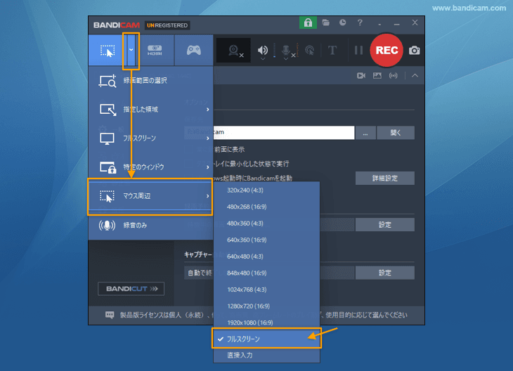 キャプチャー画面非表示