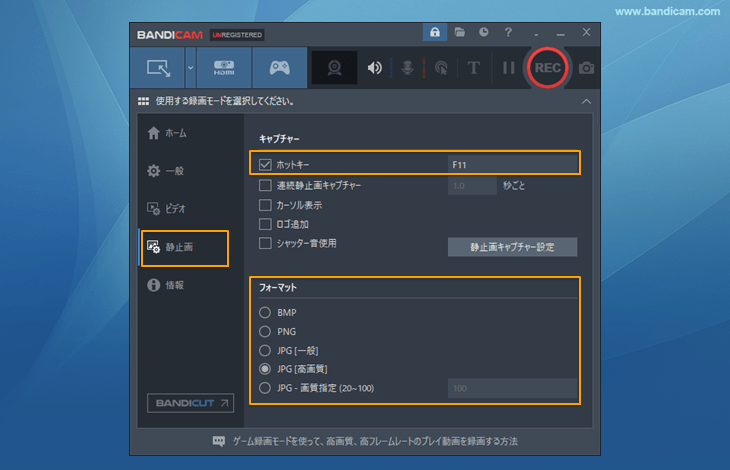 フォーマットと画質を選択